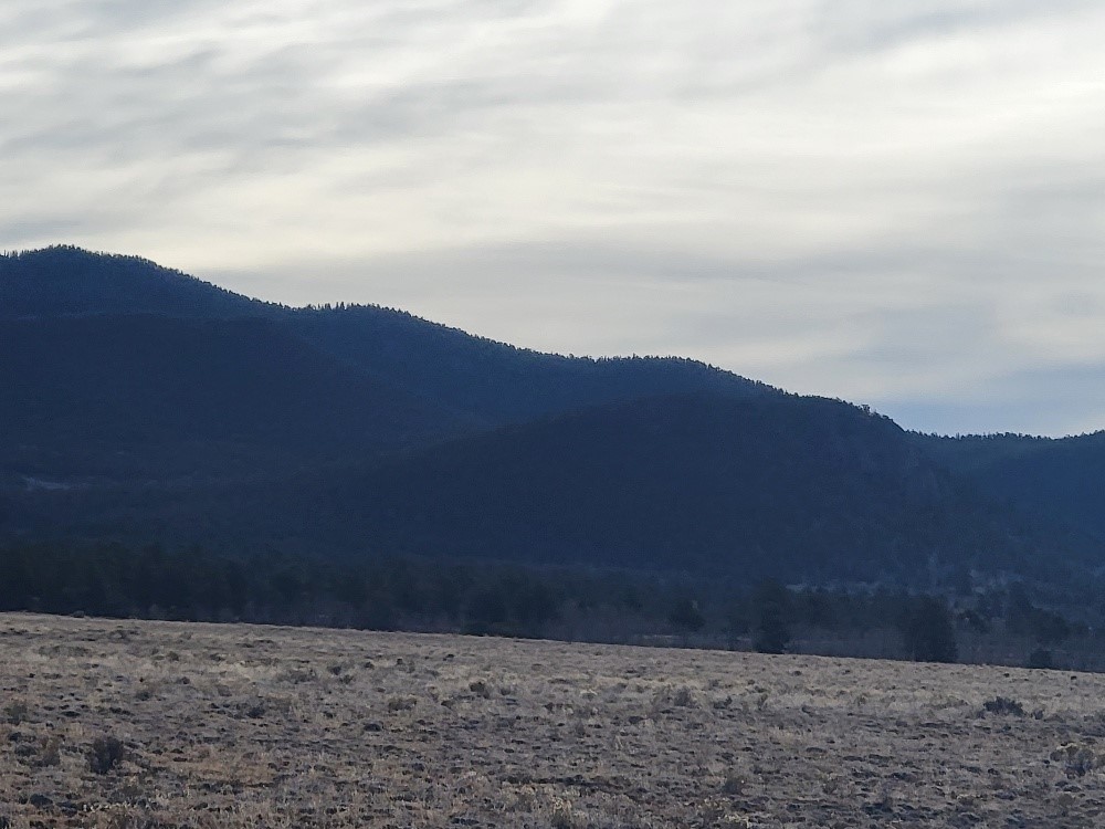 1162 Rocky Mountain Road Hartsel, CO 80449 - Photo 21 of 45 a view of a yard