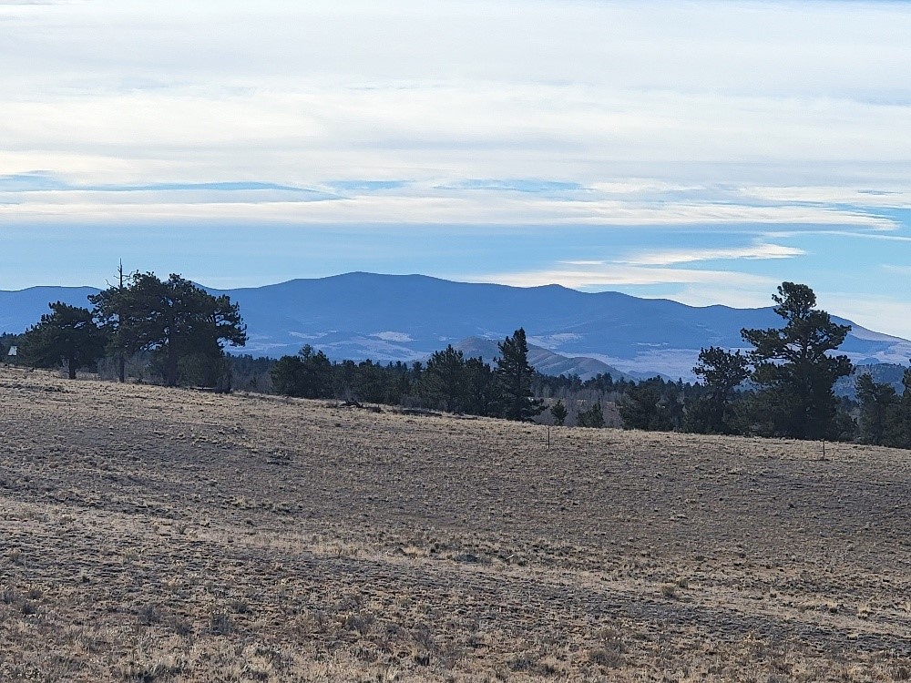 1162 Rocky Mountain Road Hartsel, CO 80449 - Photo 23 of 45 a view of lake with mountain