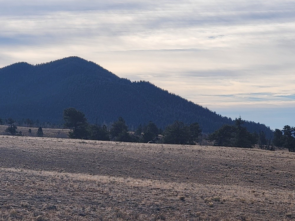 1162 Rocky Mountain Road Hartsel, CO 80449 - Photo 24 of 45 a view of a dry yard with green field and mountain view