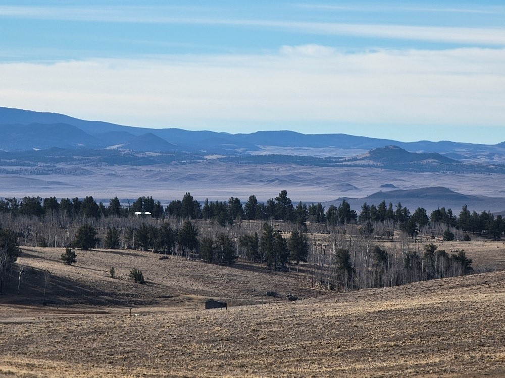 1162 Rocky Mountain Road Hartsel, CO 80449 - Photo 27 of 45 a view of a town with mountain view