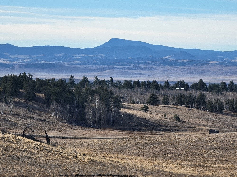 1162 Rocky Mountain Road Hartsel, CO 80449 - Photo 28 of 45 a view of house with mountain view