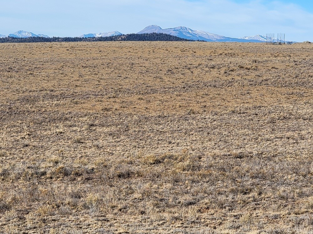1162 Rocky Mountain Road Hartsel, CO 80449 - Photo 3 of 45 a view of a lake view