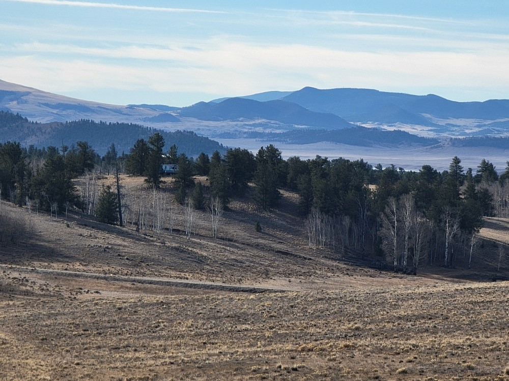 1162 Rocky Mountain Road Hartsel, CO 80449 - Photo 32 of 45 a view of a yard with a mountain