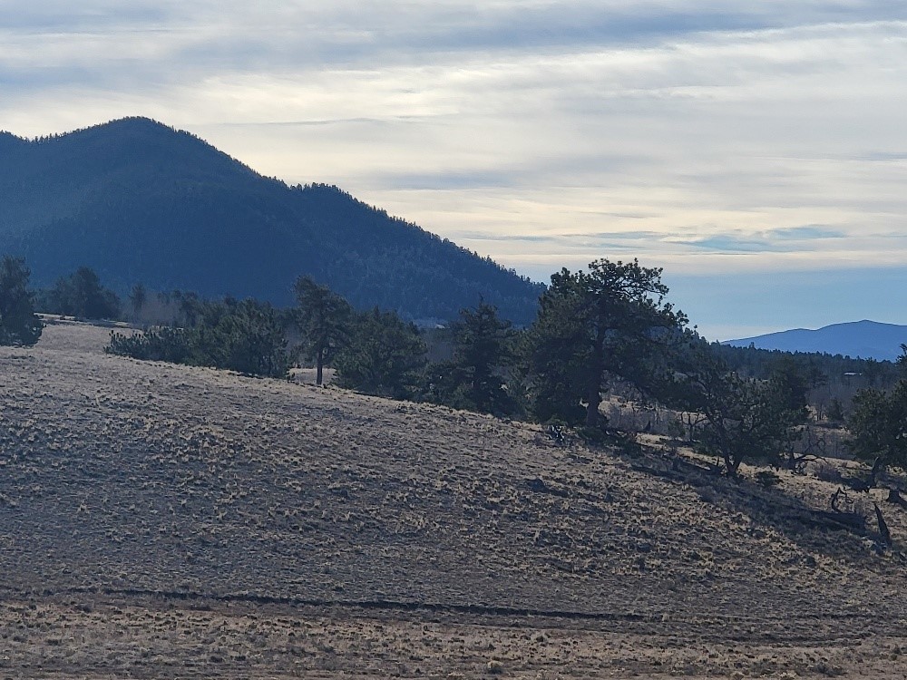 1162 Rocky Mountain Road Hartsel, CO 80449 - Photo 34 of 45 a view of a dry yard