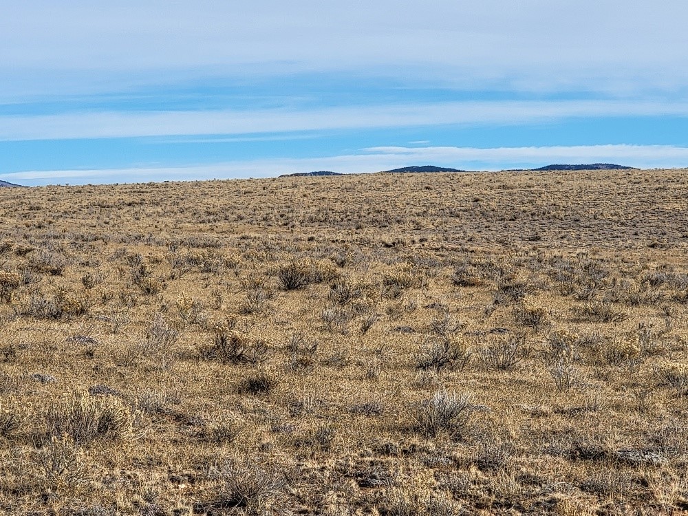 1162 Rocky Mountain Road Hartsel, CO 80449 - Photo 36 of 45 a view of ocean view with beach