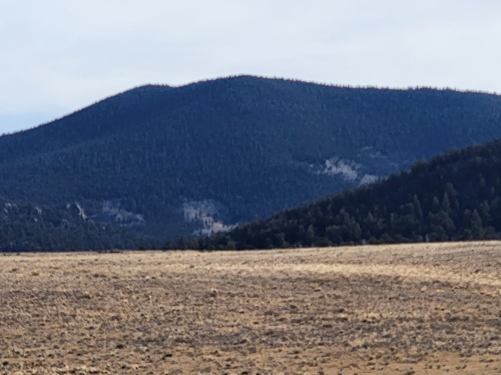 1162 Rocky Mountain Road Hartsel, CO 80449 - Photo 38 of 45 a view of house with a yard