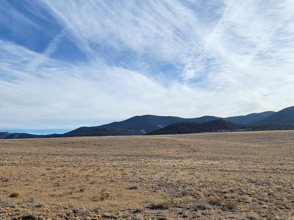 1162 Rocky Mountain Road Hartsel, CO 80449 - Photo 39 of 45 a view of lake and mountain