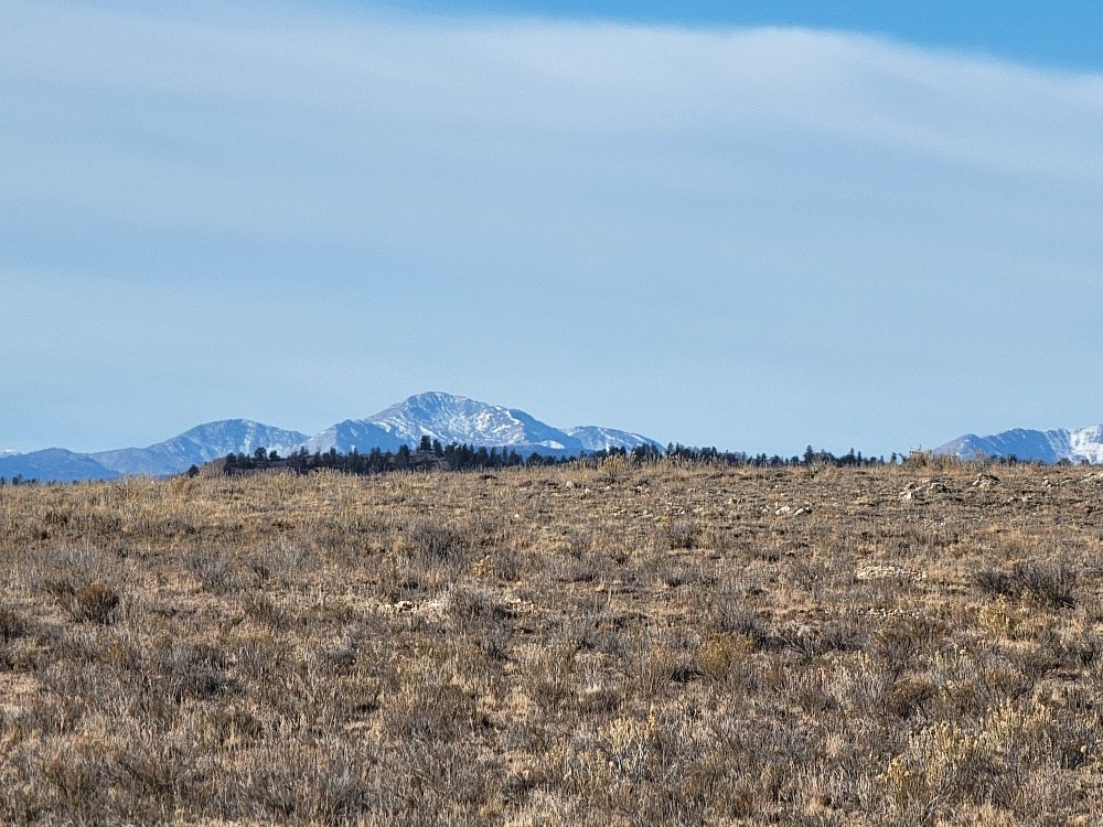 1162 Rocky Mountain Road Hartsel, CO 80449 - Photo 41 of 45