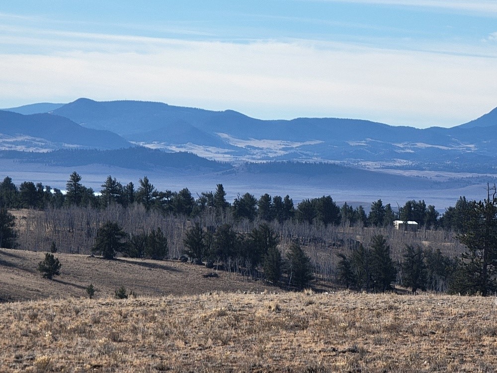 1162 Rocky Mountain Road Hartsel, CO 80449 - Photo 43 of 45 a view of a backyard with mountain