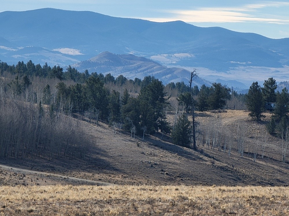 1162 Rocky Mountain Road Hartsel, CO 80449 - Photo 44 of 45 a view of a yard with mountain view