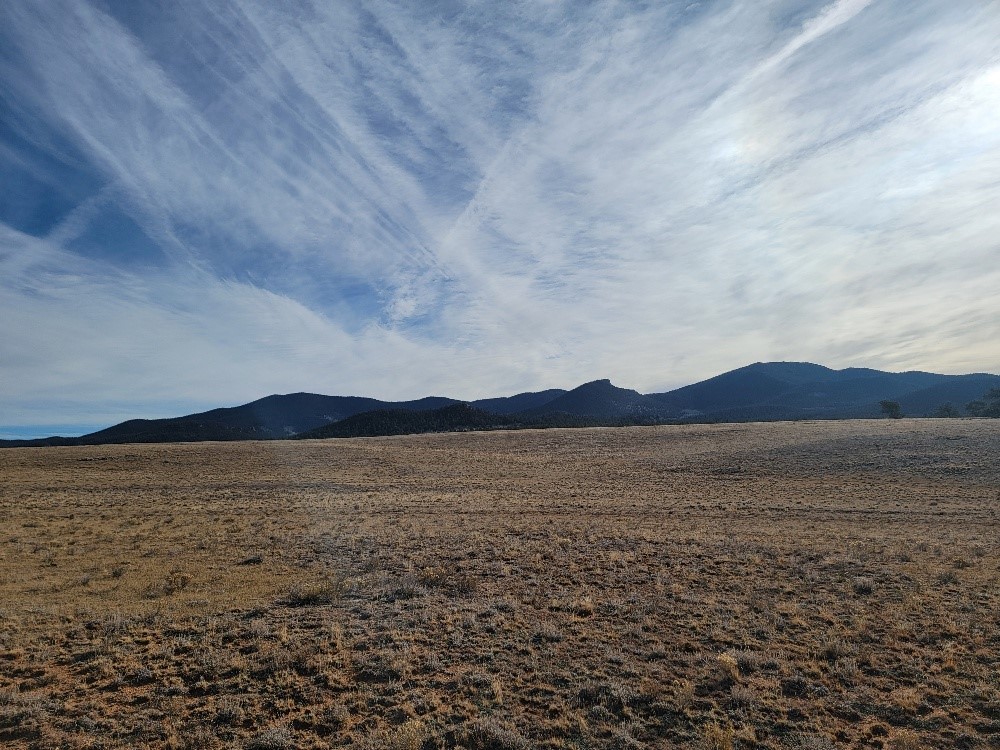 1162 Rocky Mountain Road Hartsel, CO 80449 - Photo 5 of 45 a view of an ocean and mountain