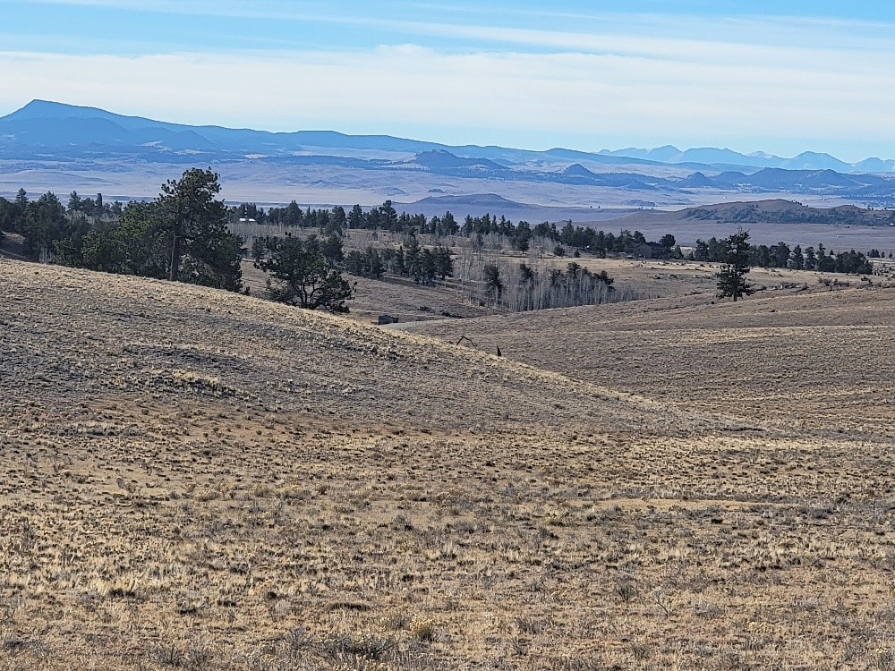 1162 Rocky Mountain Road Hartsel, CO 80449 - Photo 6 of 45 a view of a dry yard with mountain view
