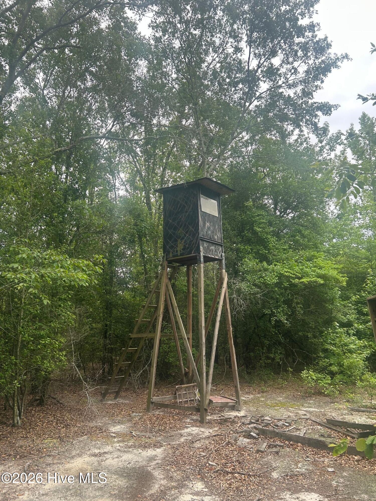 Tbd Oliver Carlton Road Warsaw, NC 28398 - Photo 5 of 15