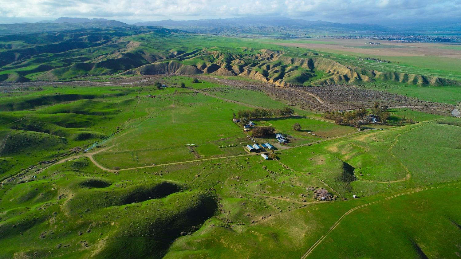43036 Jacalitos Creek Road Coalinga, CA 93210 - Photo 79 of 85 a view of a field with a tree