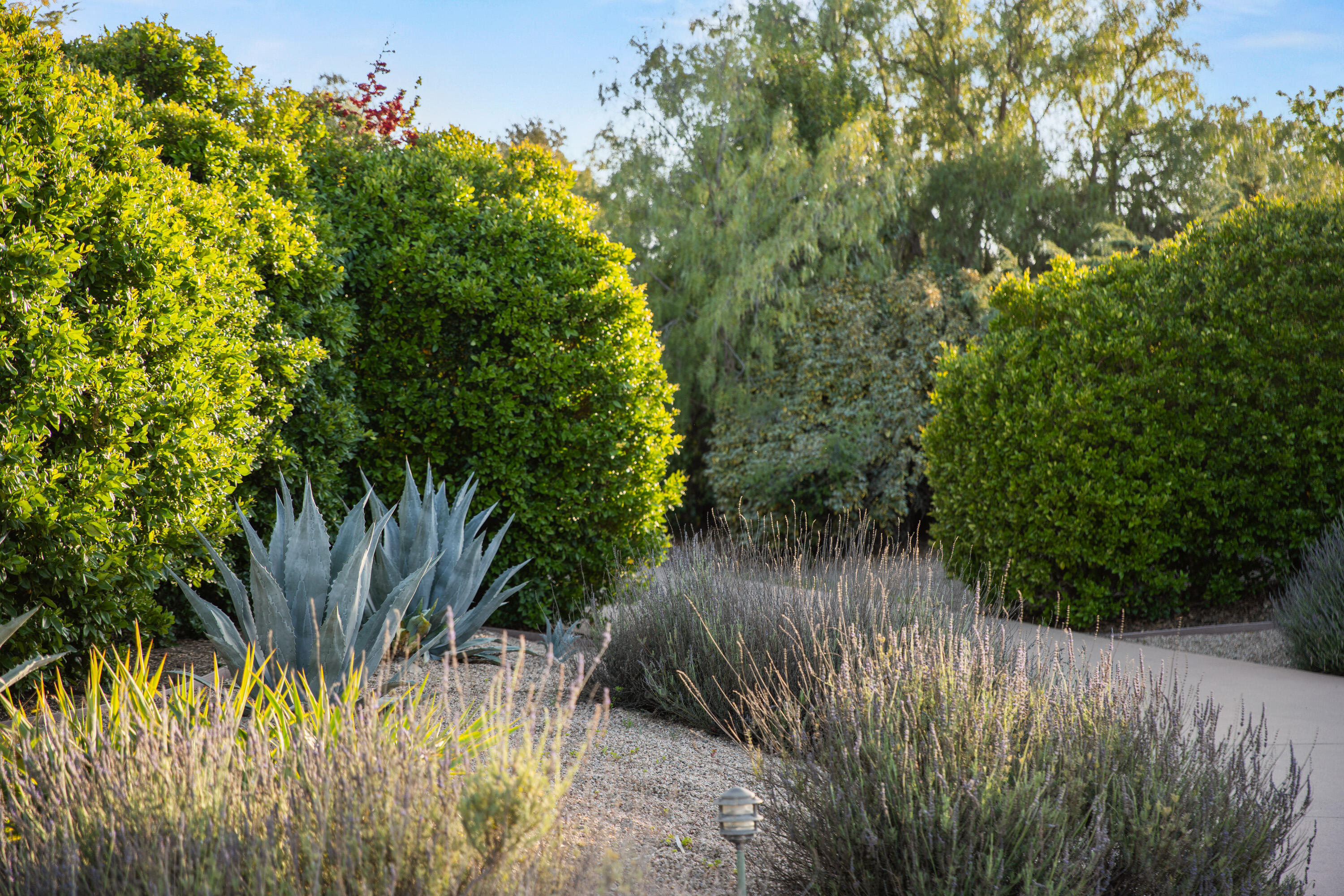 1270 Dove Meadow Road Solvang, CA 93463 - Photo 41 of 45 1270 Dove Meadow Web-13