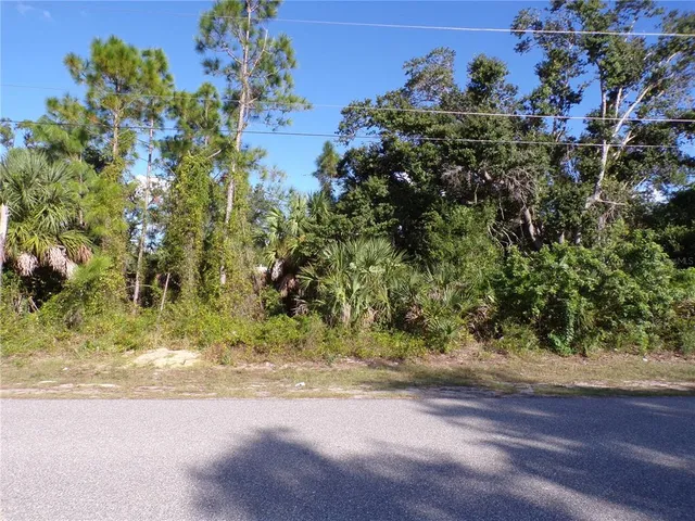 a view of a yard with a tree