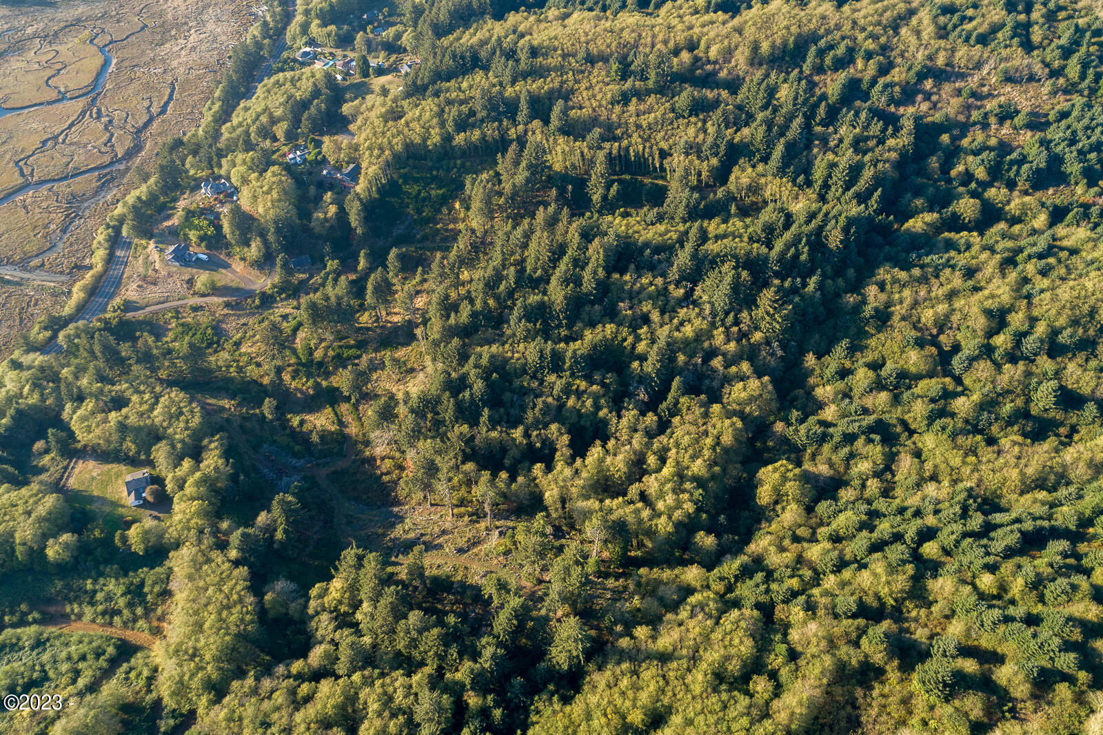 501 Brooten Hill Road Pacific City, OR 97135 - Photo 11 of 18 above the flood zone