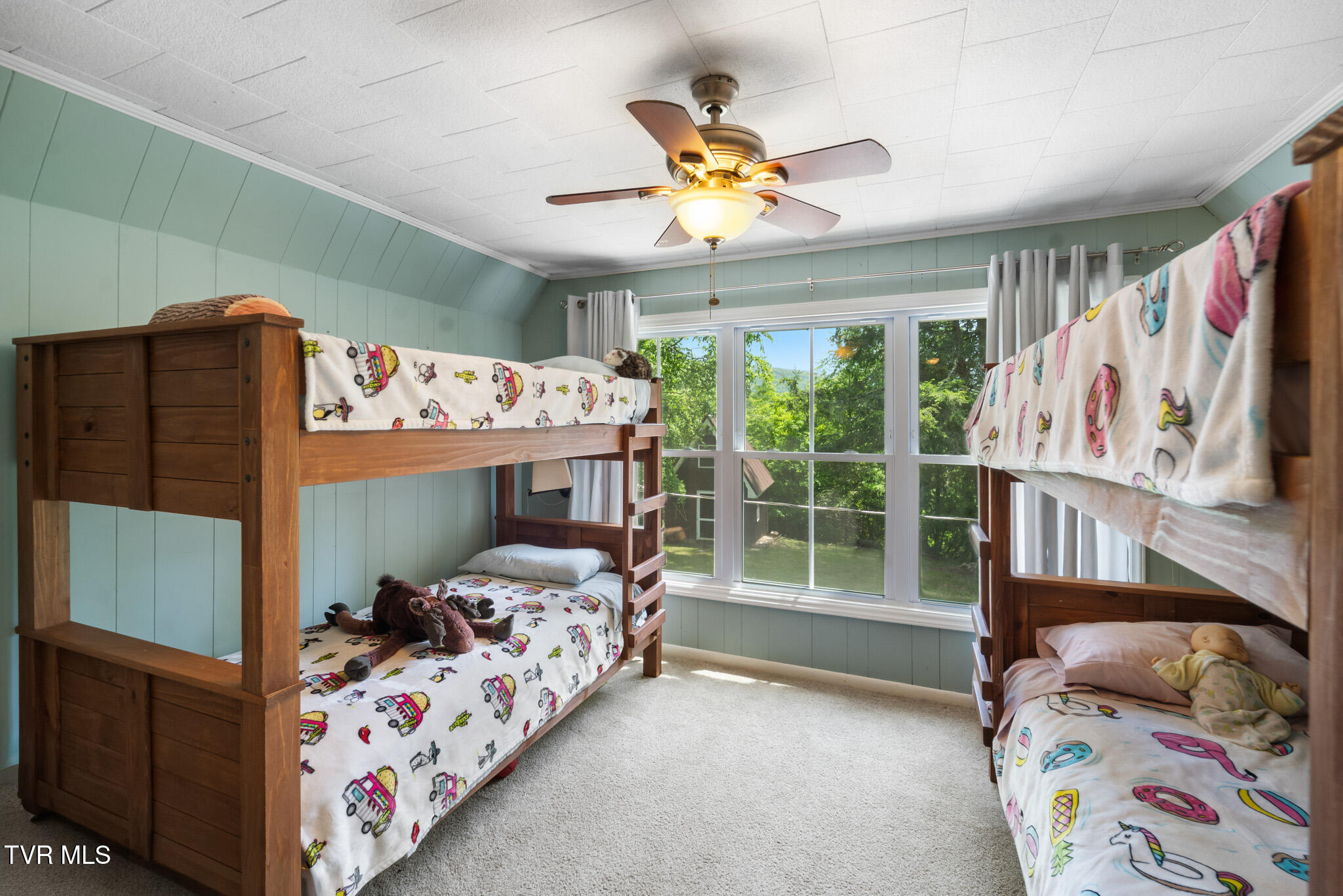 929 Noah Snyder Road Mountain City, TN 37683 - Photo 35 of 46 DSC08038