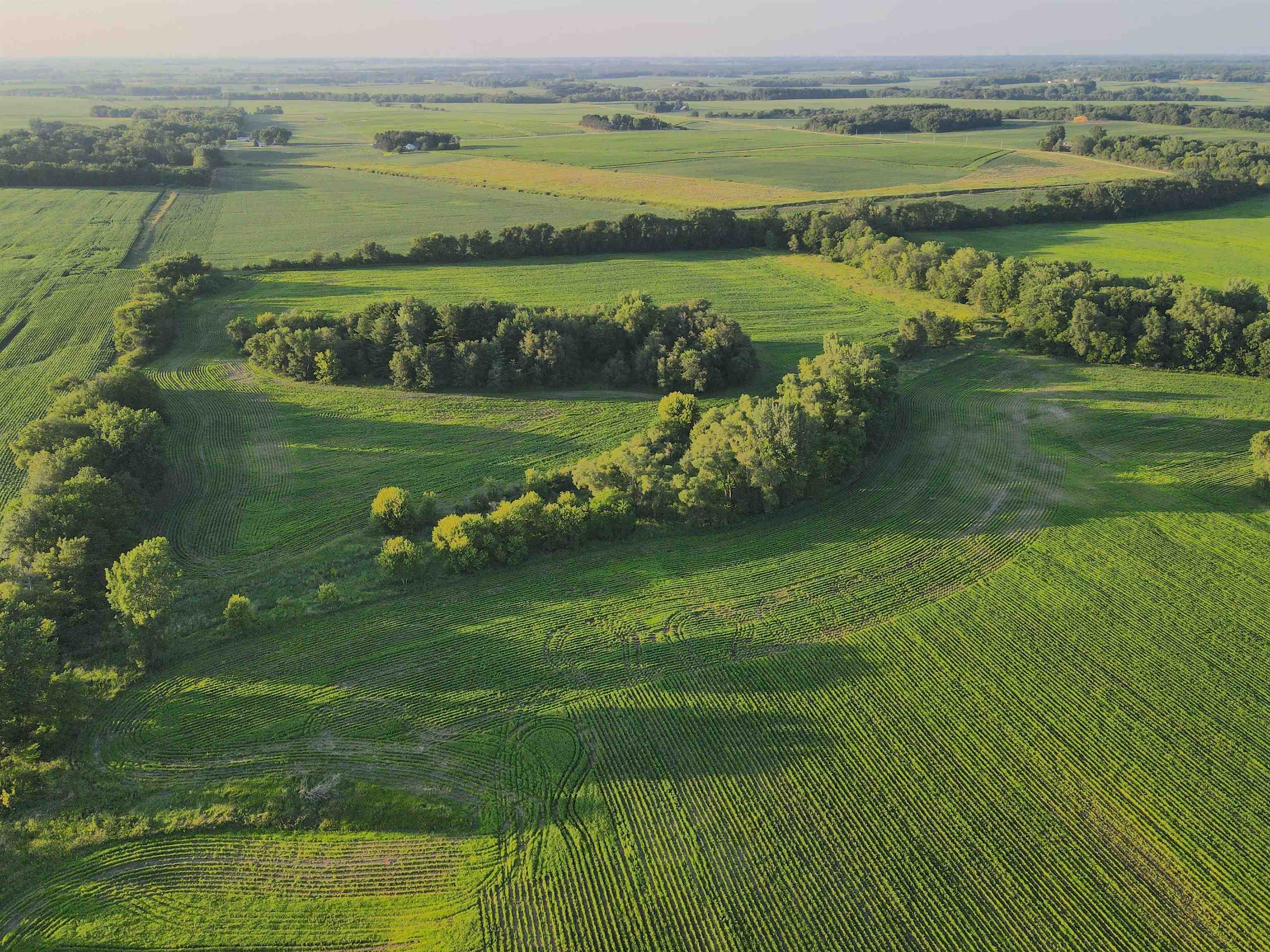 0 Todd Road Amboy, IL 61310 - Photo 13 of 58