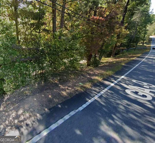 a view of a forest with trees