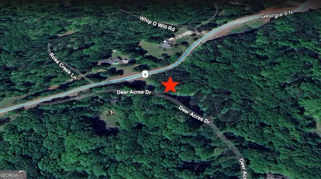 a flower plants and a shower in a yard