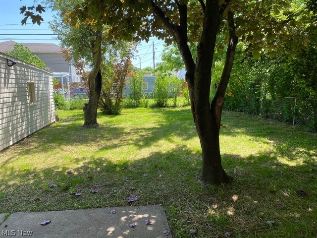 9605 Biddulph Road Cleveland, OH 44144 - Photo 3 of 24 Your fenced in back yard