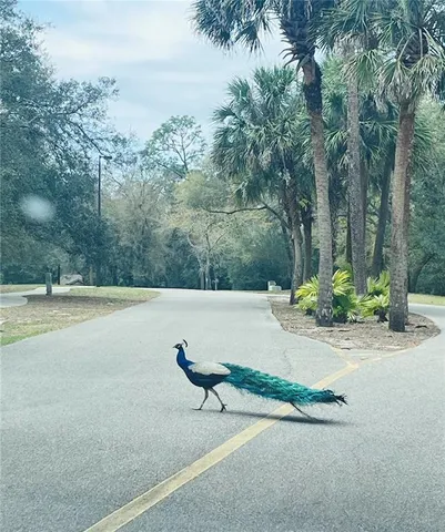 $190,000 | 233 Crown Oaks Way, Unit 233, Longwood, FL 32779