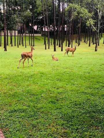 $190,000 | 233 Crown Oaks Way, Unit 233, Longwood, FL 32779