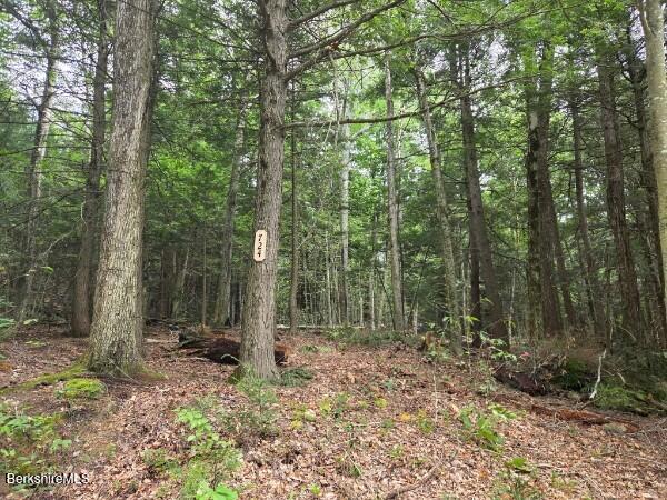 724 Moberg Road Becket, MA 01223 - Photo 7 of 15 Lot 2