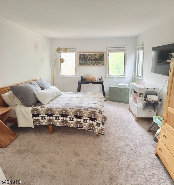 13 Mission Hills Road Annandale, NJ 08801 - Photo 8 of 12