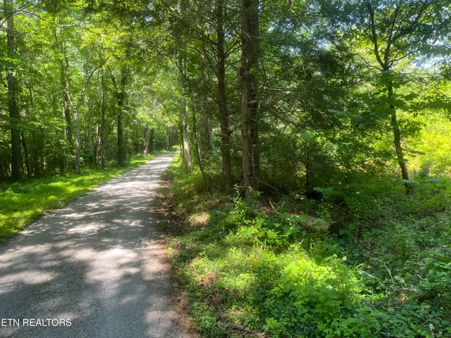 $18,000 | Blizzard Mine Road, Harriman, TN 37748