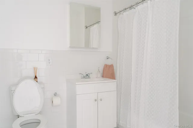 a bathroom with a sink a toilet and vanity