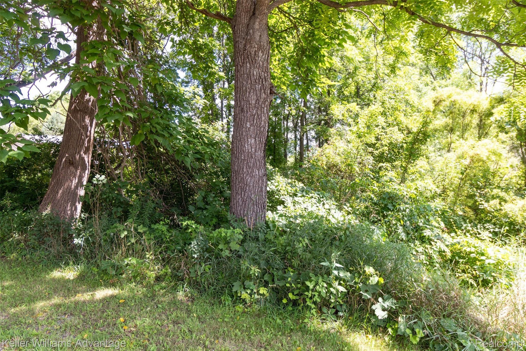 7953 Clark Lake Road Chelsea, MI 48118 - Photo 23 of 26 WOODED CREEK AREA.jpg