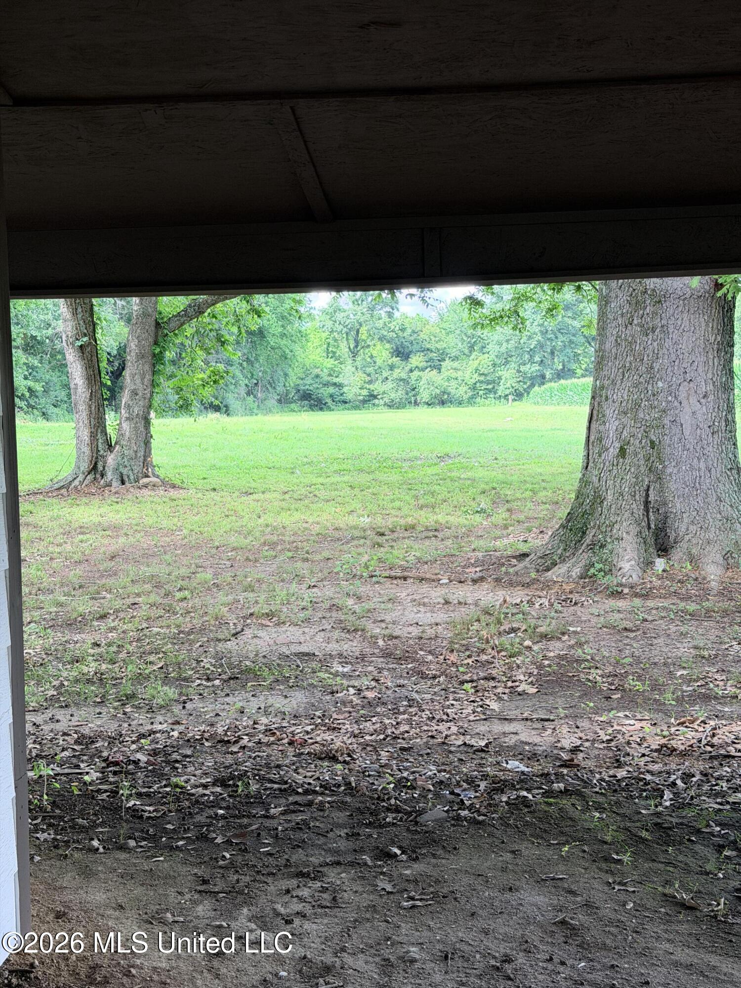 647 Irwin Road Bentonia, MS 39040 - Photo 13 of 13 IMG_9326