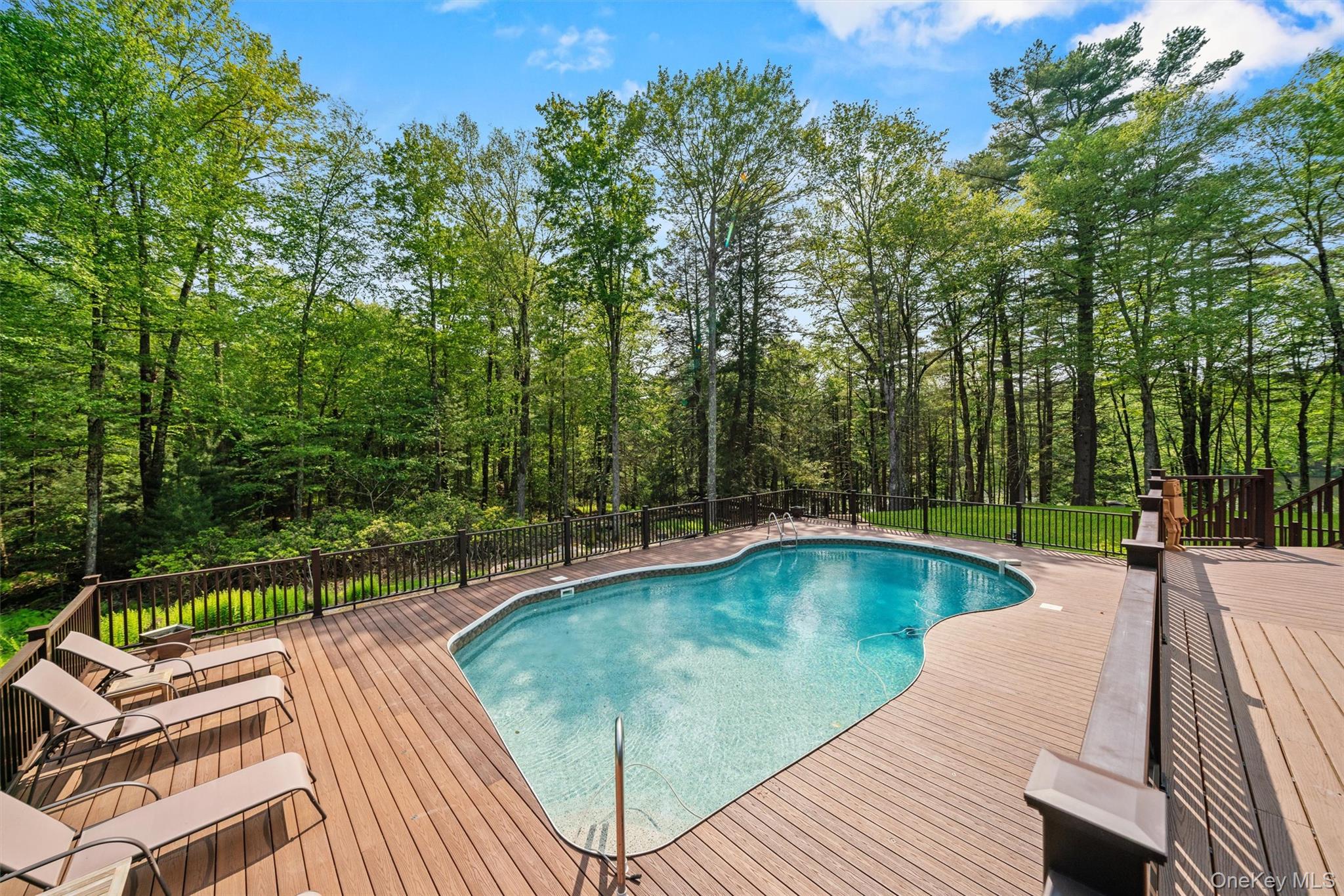 1775 Plank Rd Section A Forestburgh, NY 12777 - Photo 34 of 50 View of pool featuring a wooden deck