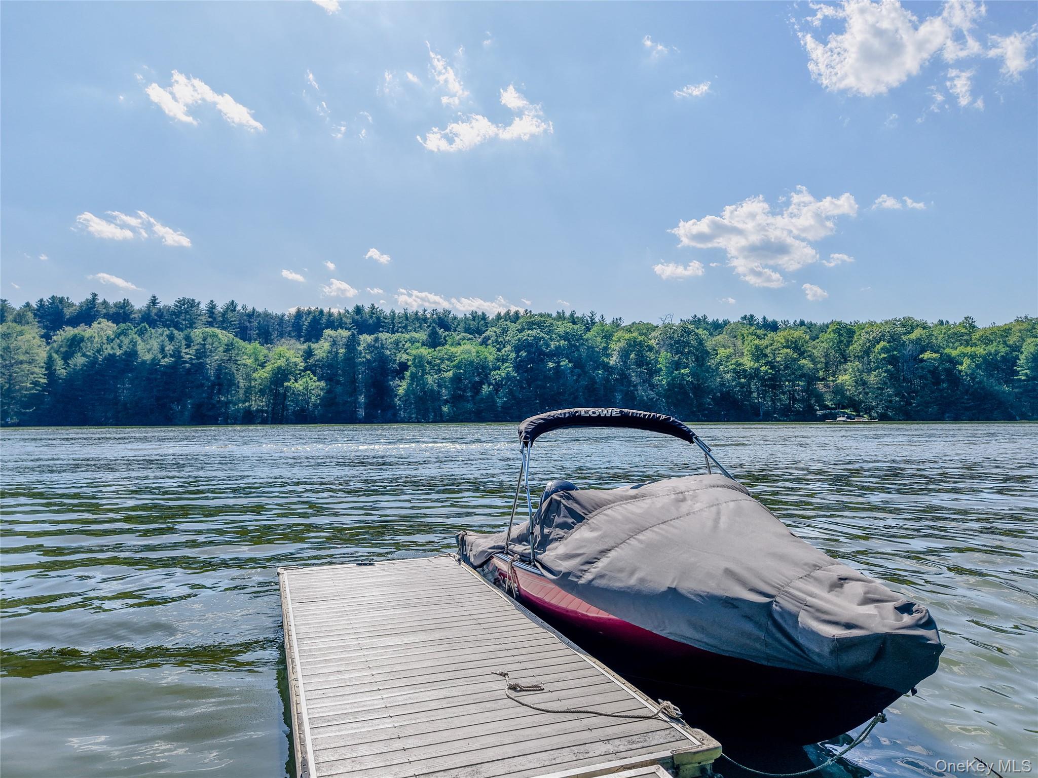1775 Plank Rd Section A Forestburgh, NY 12777 - Photo 41 of 50 Dock area featuring a water view and a forest view