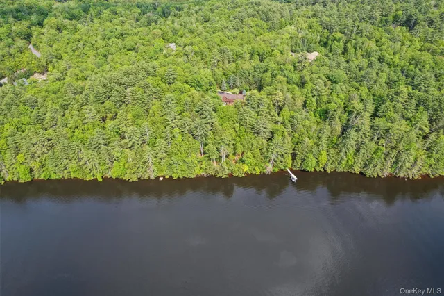 a view of a lake with a mountain in the background