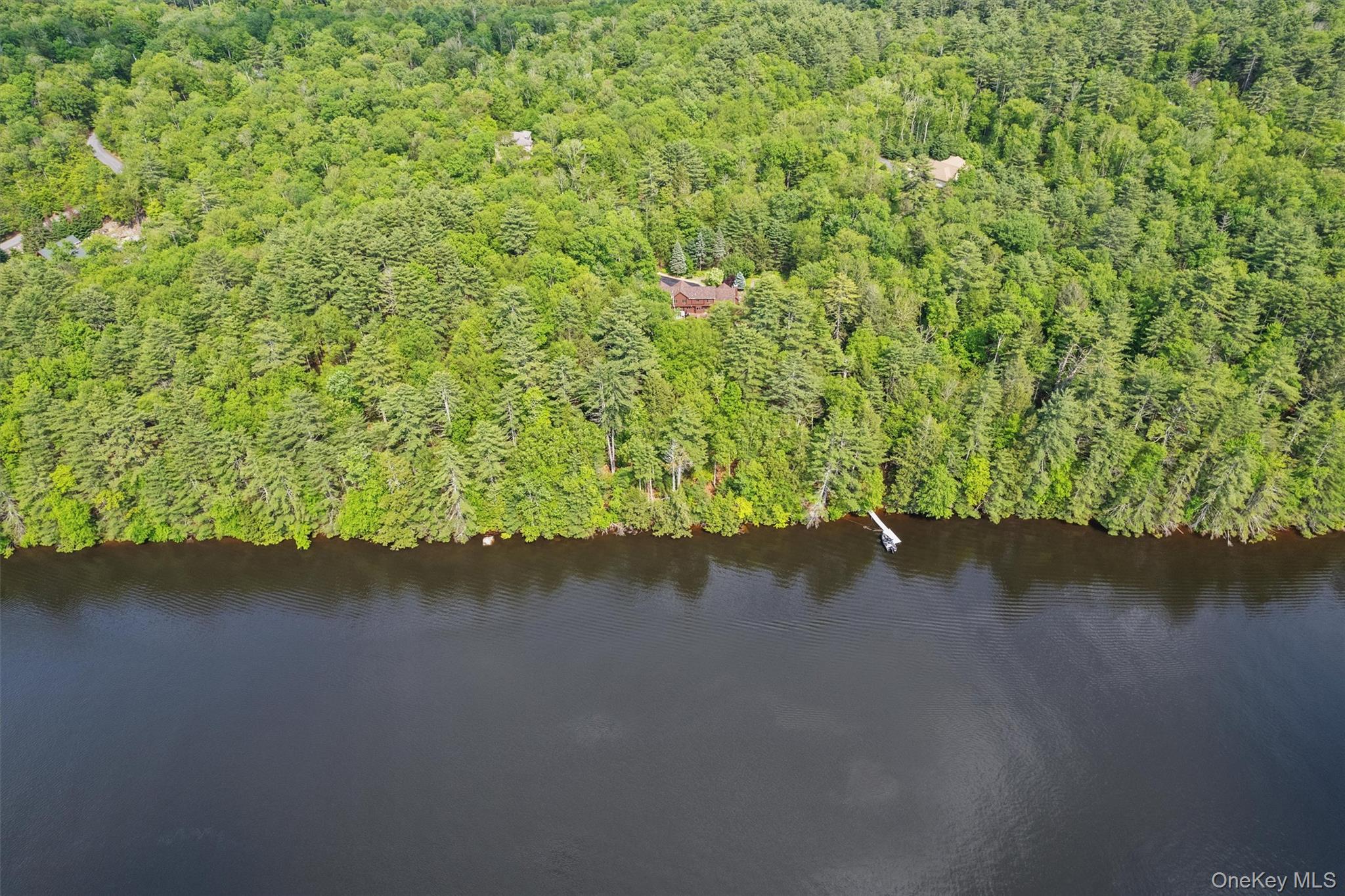 1775 Plank Rd Section A Forestburgh, NY 12777 - Photo 43 of 50 Aerial view of property's location featuring a forest and a large body of water
