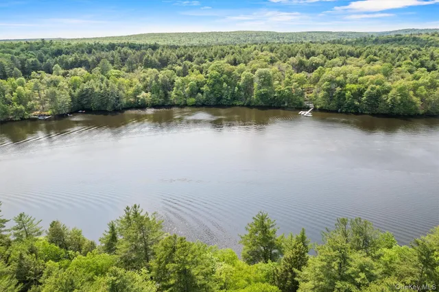 an aerial view of a house with a garden and lake view