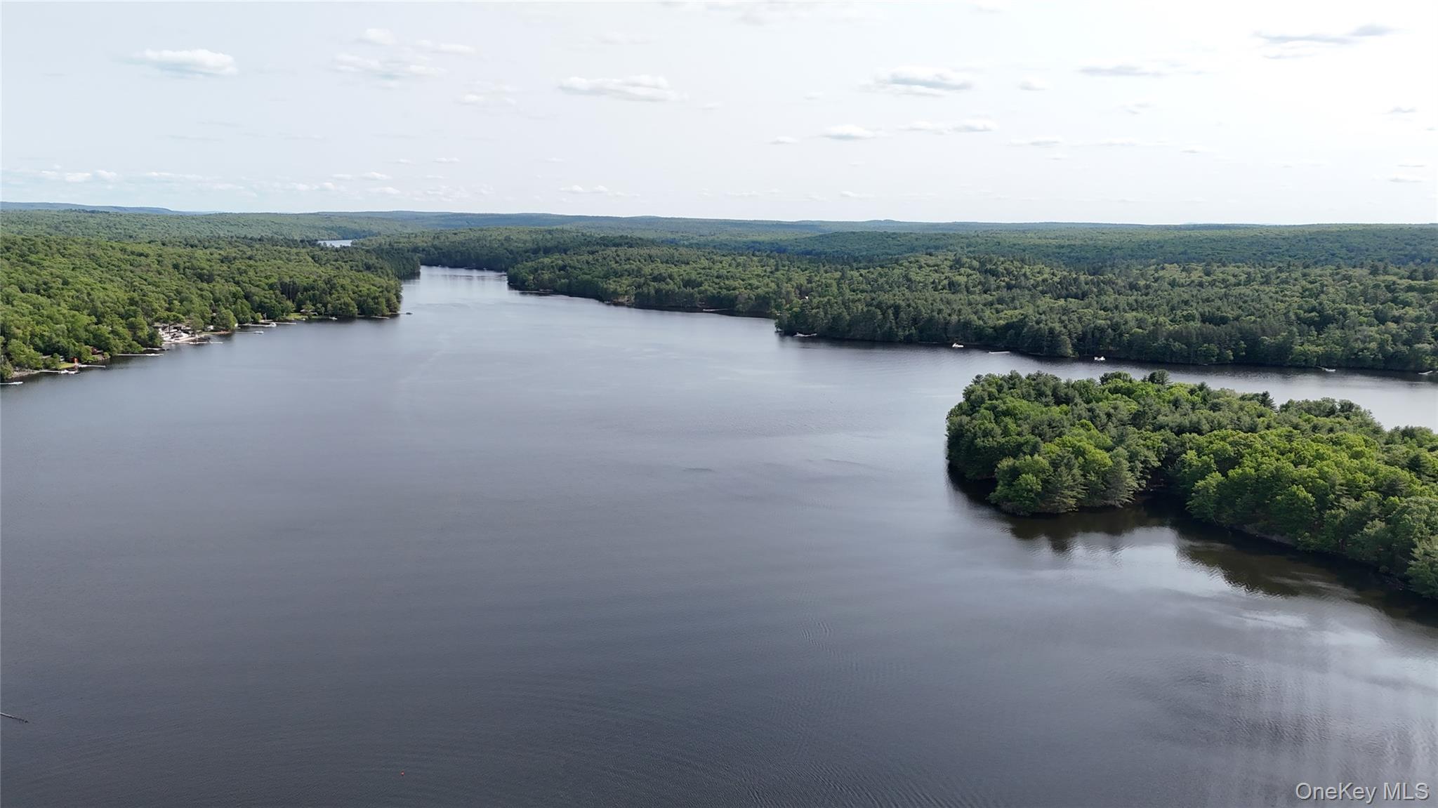 1775 Plank Rd Section A Forestburgh, NY 12777 - Photo 45 of 50 Drone / aerial view of a heavily wooded area and a large body of water