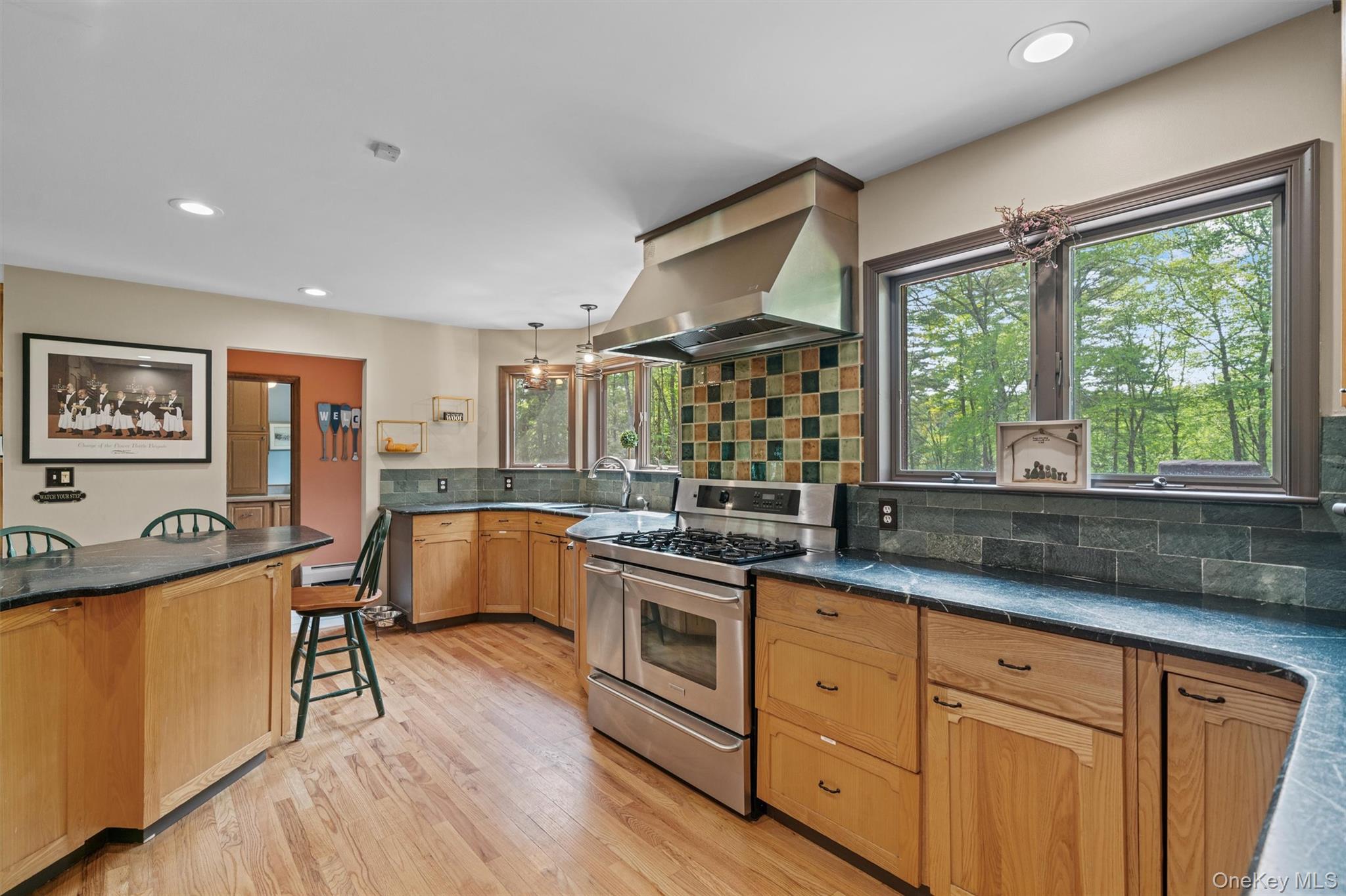 1775 Plank Rd Section A Forestburgh, NY 12777 - Photo 10 of 50 Kitchen with stainless steel range with gas cooktop, ventilation hood, healthy amount of natural light, dark countertops, and recessed lighting
