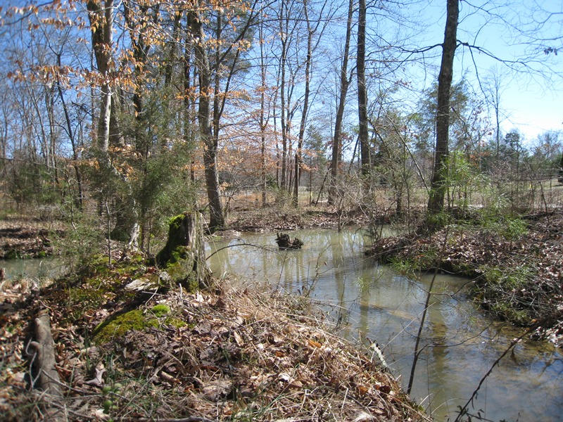 265 Fitch Road Ten Mile, TN 37880 - Photo 2 of 11 2