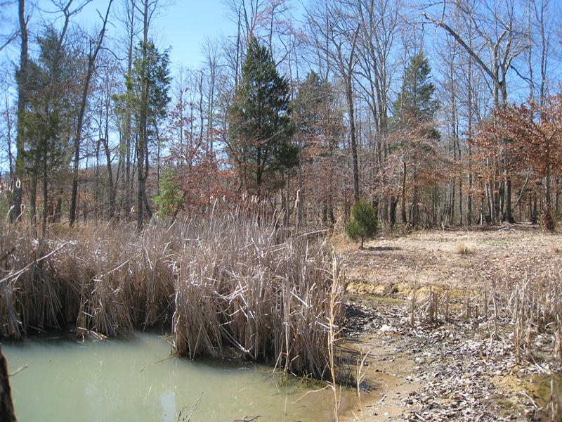 265 Fitch Road Ten Mile, TN 37880 - Photo 4 of 11 5