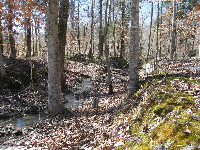 265 Fitch Road Ten Mile, TN 37880 - Photo 6 of 11 7