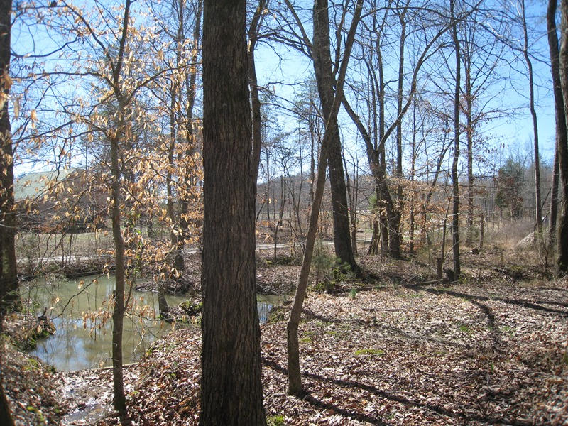 265 Fitch Road Ten Mile, TN 37880 - Photo 7 of 11 8