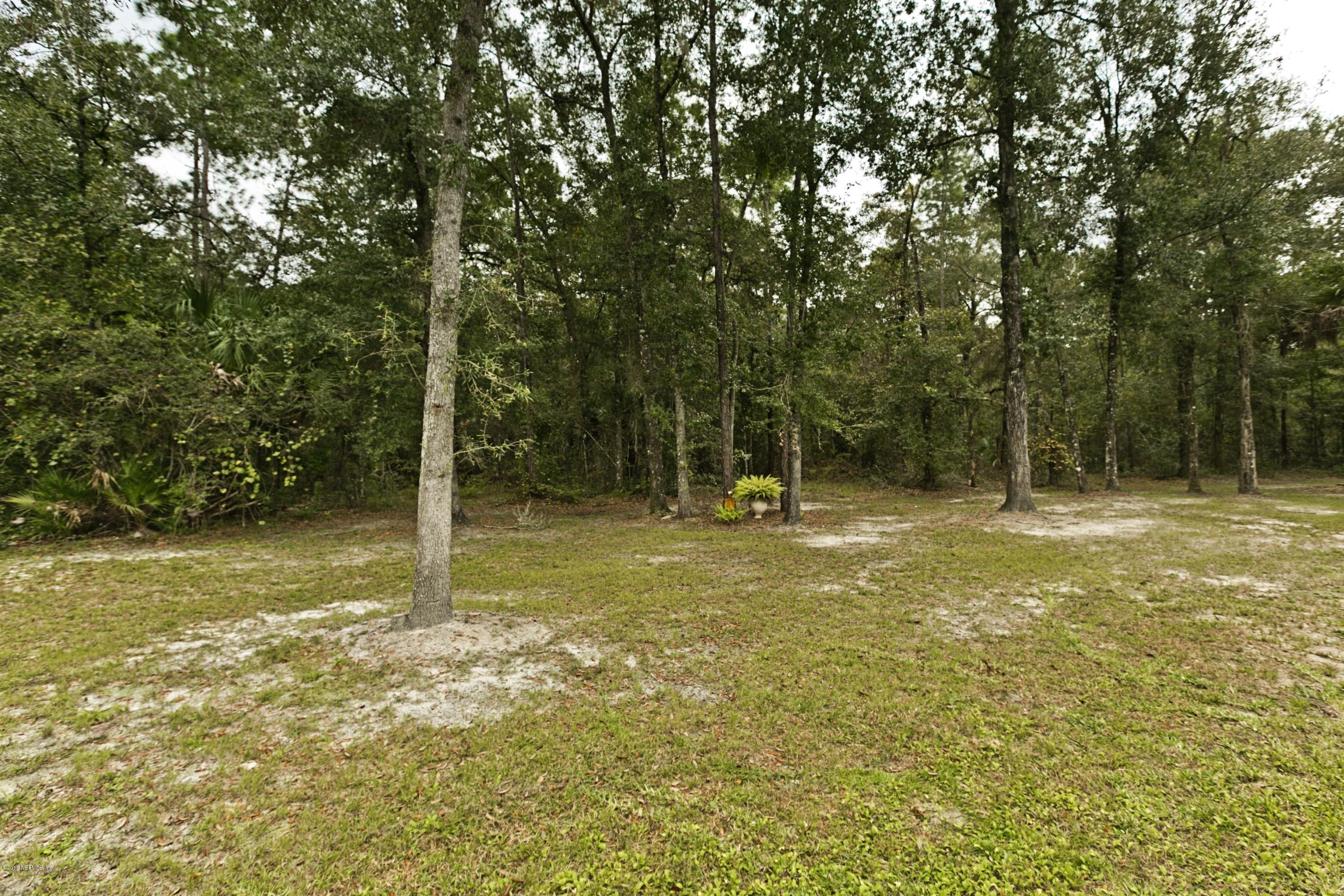 120 Dancing Horse Drive Hastings, FL 32145 - Photo 48 of 65 a view of a trees with a backyard