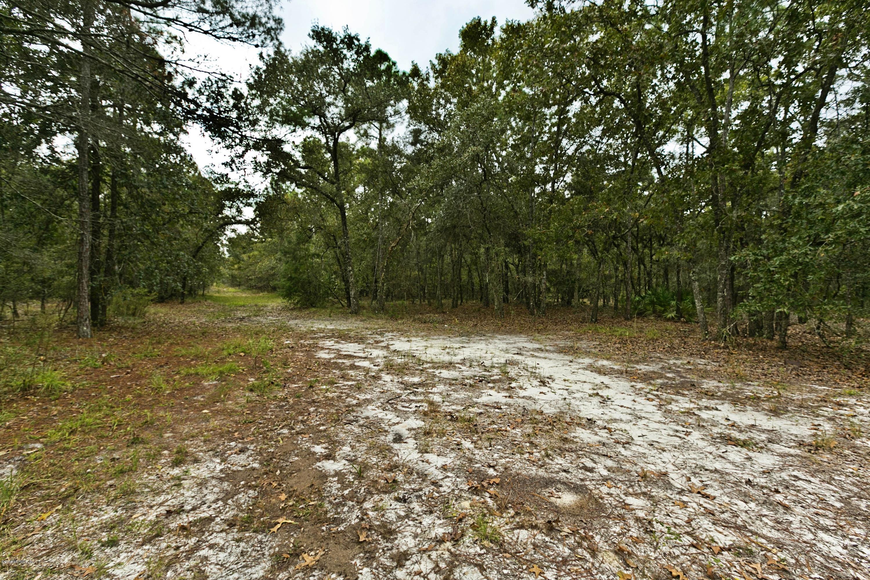 120 Dancing Horse Drive Hastings, FL 32145 - Photo 52 of 65 a view of backyard with green space