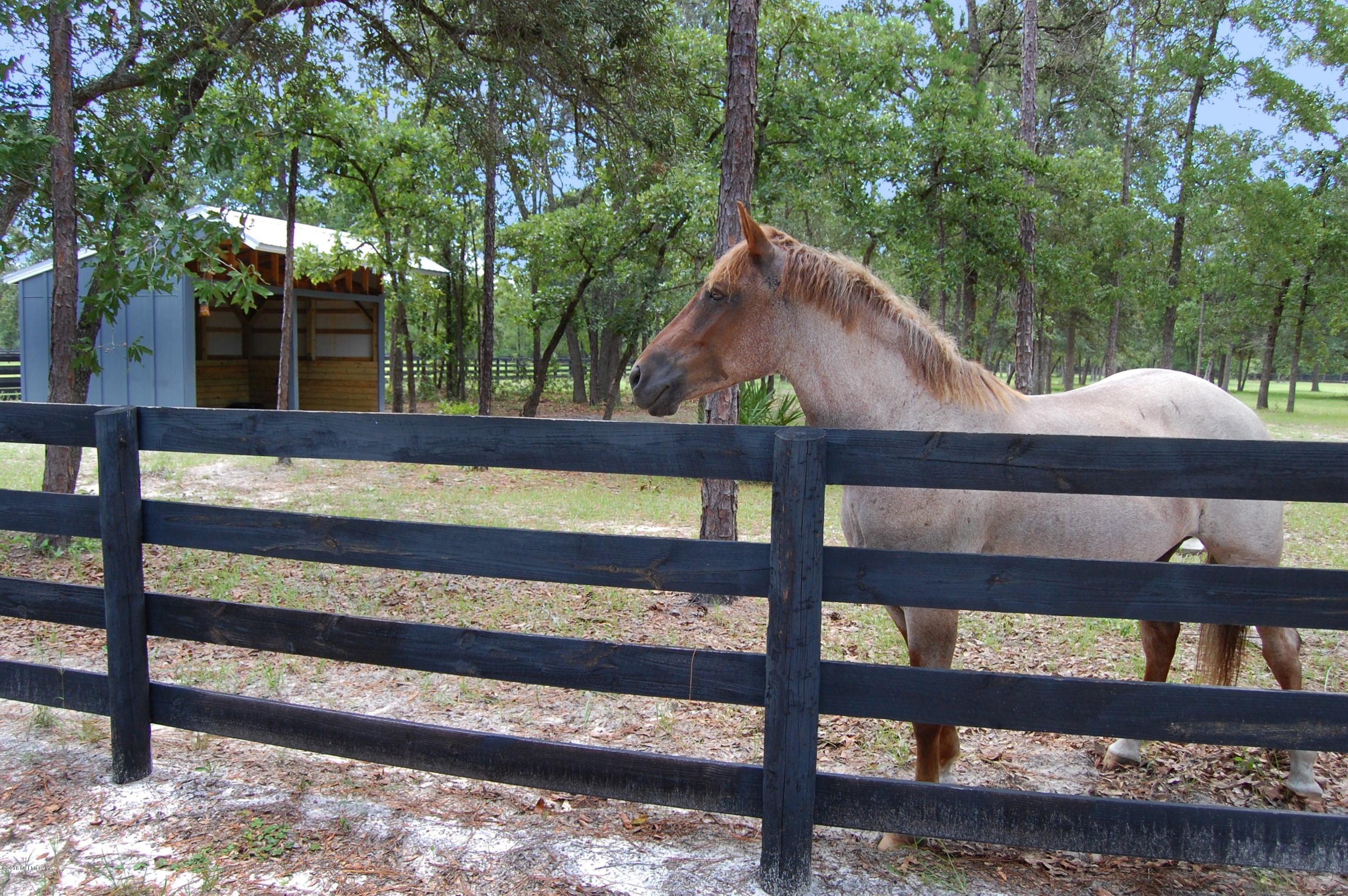 120 Dancing Horse Drive Hastings, FL 32145 - Photo 53 of 65 a view of a wooden bench next to a yard