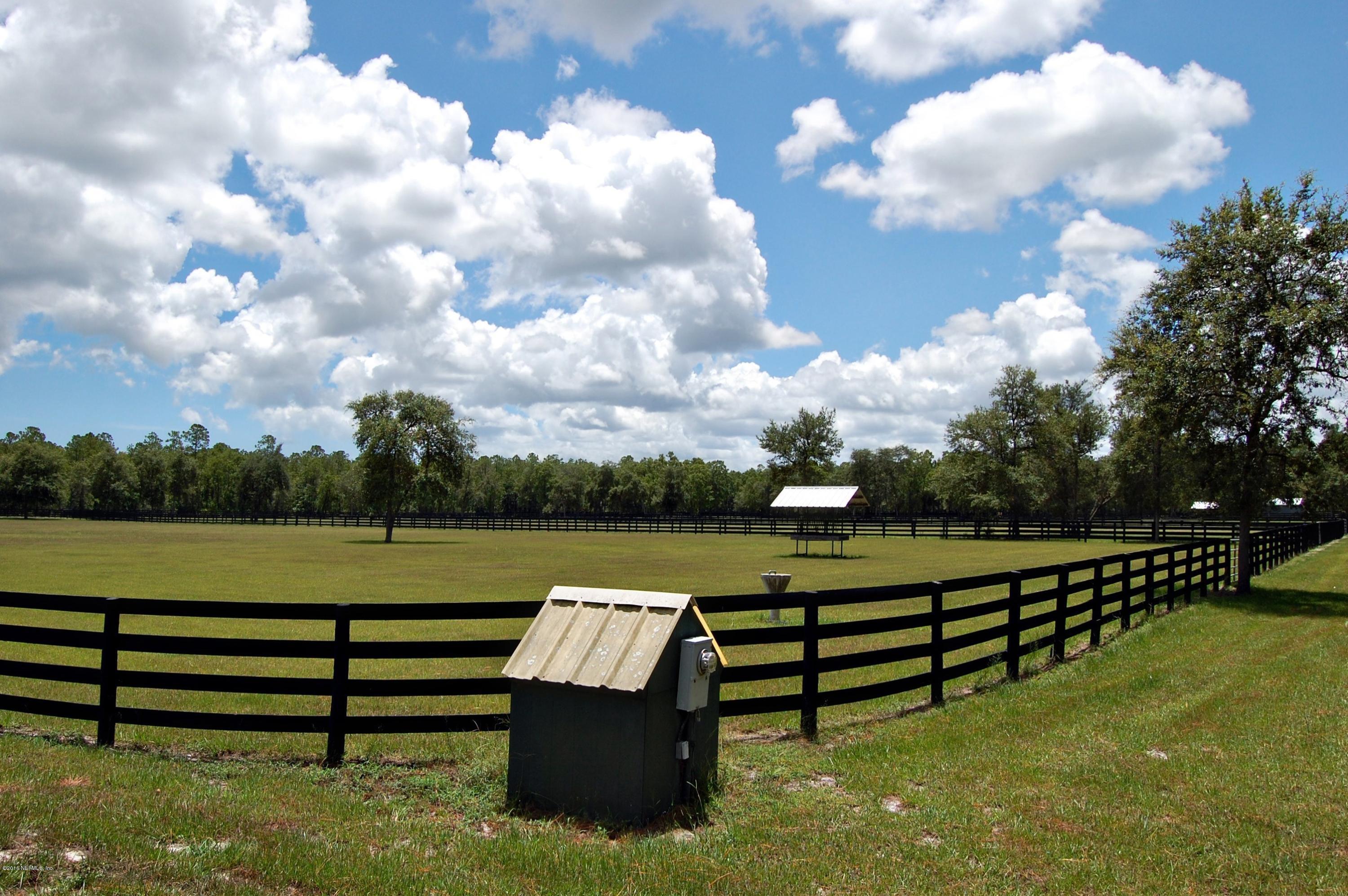 120 Dancing Horse Drive Hastings, FL 32145 - Photo 54 of 65 a view of a bench in a lake