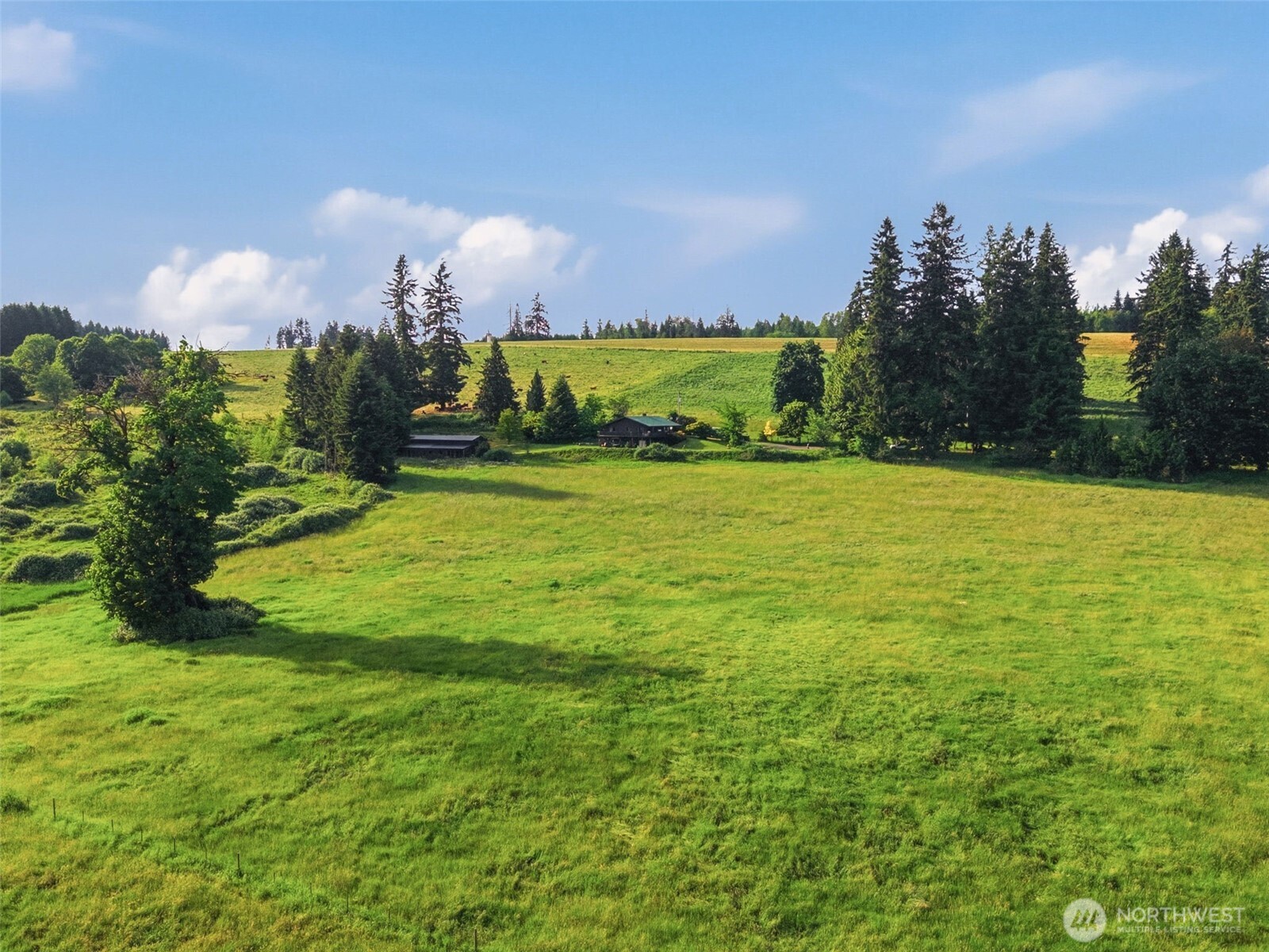 1058 Burnt Ridge Road Onalaska, WA 98570 - Photo 35 of 40